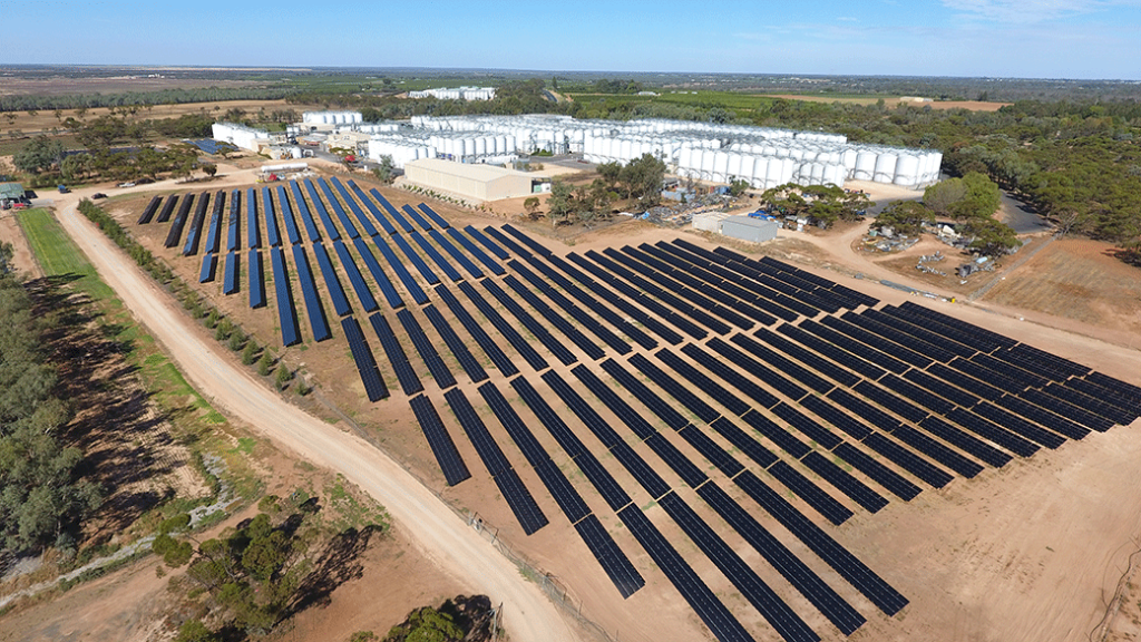 major-wine-maker-australian-vintage-inks-solar-and-wind-ppa-with-flow-power-one-step-off-the-grid