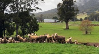 Simon Hackett shifts Tasmania farm to solar microgrid, with 27 ZBM2 batteries