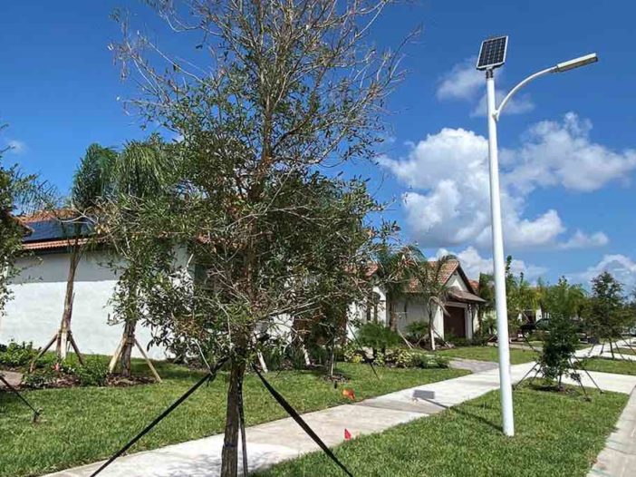solar households streetlights Tampa