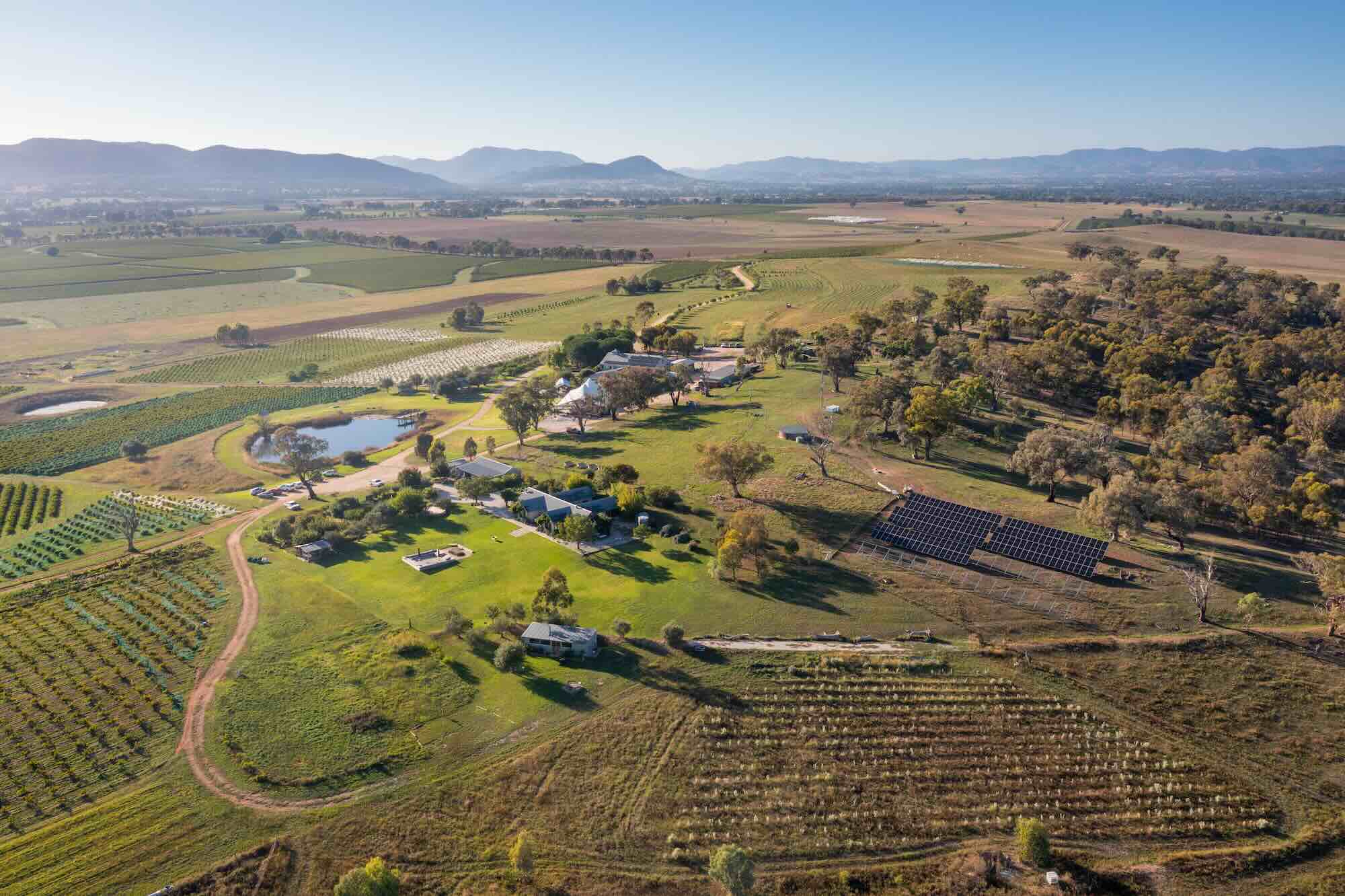 Lowe Wines solar NSW vineyard