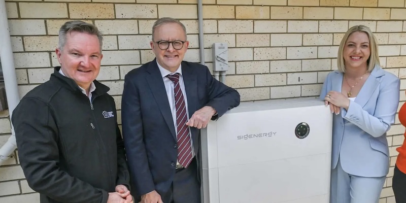 cropped to include albo's head in carousel